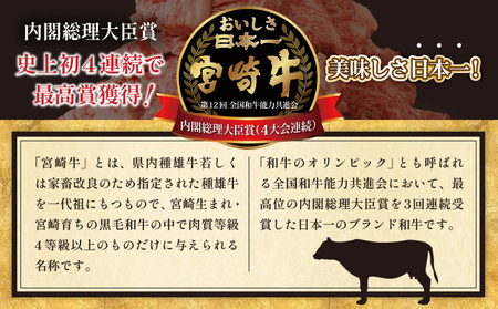 【12月配送】「宮崎牛肩(ウデ)すき焼き用」計500g 肉 牛 牛肉 おかず 国産_T009-014-612【人気 肉 ギフト 肉 食品 肉 すきやき 肉 しゃぶしゃぶ 肉 BBQ 肉 贈り物 肉 送