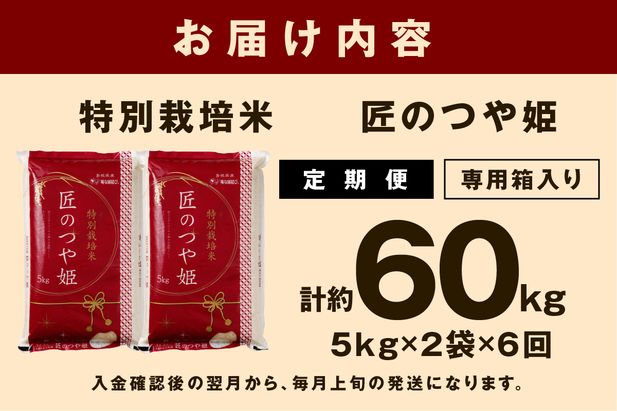 【定期便】【令和5年産】特別栽培米「匠のつや姫」（10kg×6回） ふるさと納税 米 お米 ふるさと納税 定期便 米 つや姫 白米 精米 お米 特産品 【263】