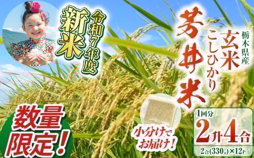 【数量限定】【令和7年度新米】新米那珂川町産芳井米 玄米 330g（2合分）×12 | こしひかり 新米 米 ごはん  ふっくら もちもち  ふるさと納税 那珂川町 栃木県