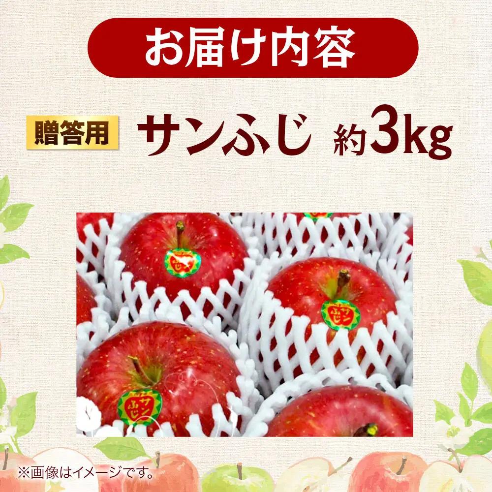 【27年2月発送】りんご 贈答用 サンふじ 約3kg