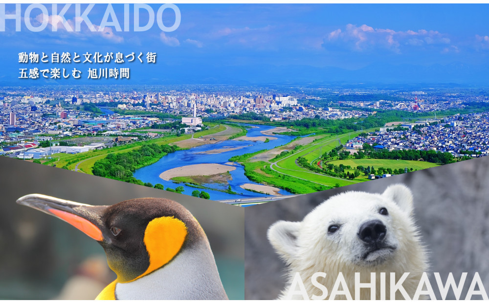 【北海道ツアー】旭川市 後から選べる旅行Webカタログで使える！旅行クーポン 30万円分【 旅 旅行 トラベル 予約 国内旅行 宿泊 観光 体験 旅行券 宿泊券 旅行予約 ホテル 旅館 チケット 子供