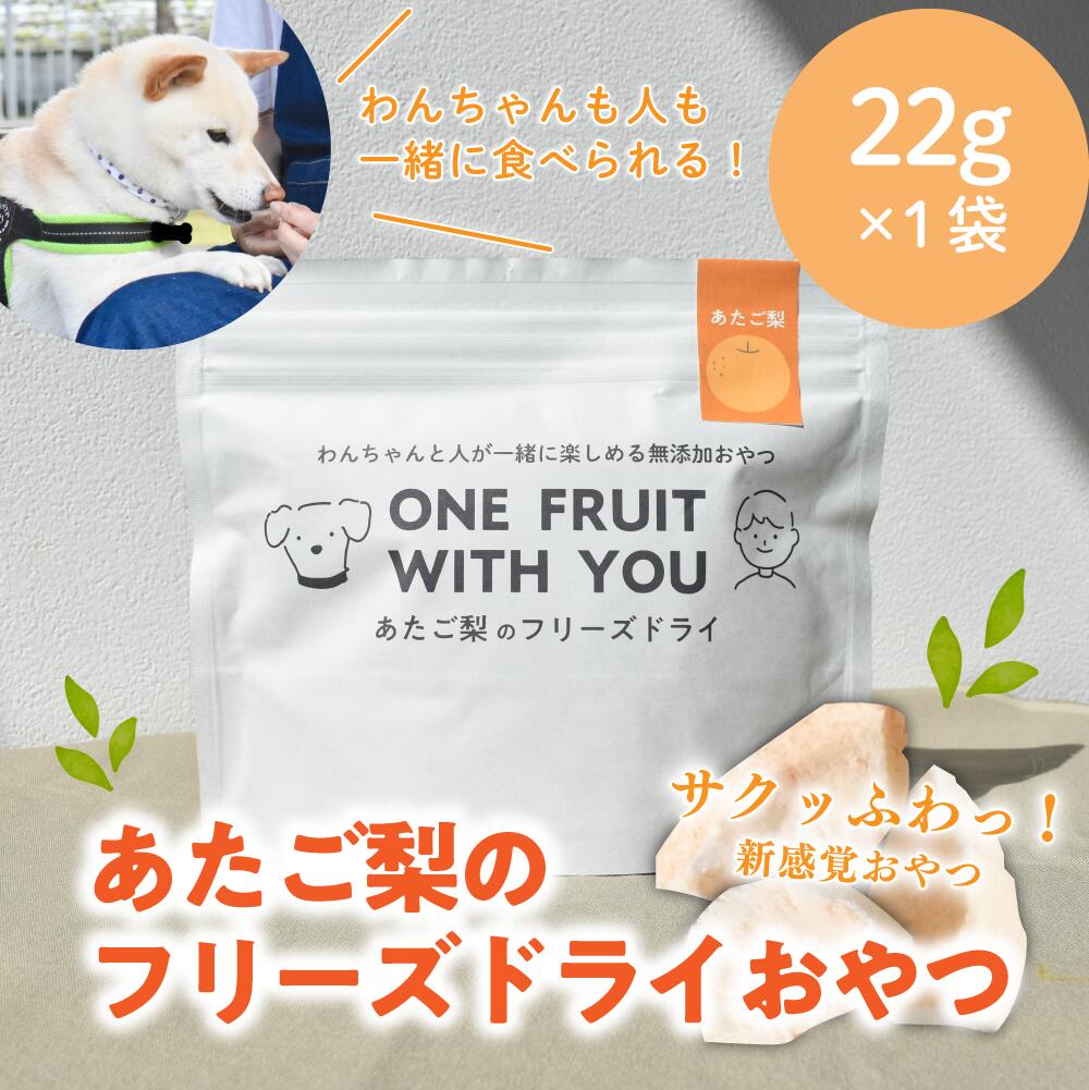 【ふるさと納税】 あたご梨のフリーズドライおやつ(22g×1袋) 原材料は「あたご梨」のみ、果物そのまま！(岡山県産) 【KF-F002-01】 / フリーズドライ あたご梨 梨 果物 無添加 おやつ ドックフード 岡山県産 ペット