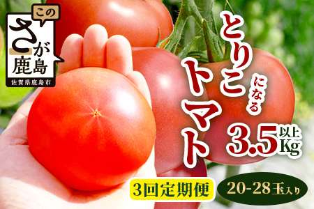 【先行予約】 たにぐちファーム とりこになるトマト【3.5kg以上×3回定期便】【2024年12月から出荷】 Ricotomato トマト [定期便 野菜定期便 定期 野菜 トマト 新鮮 サラダ 生野