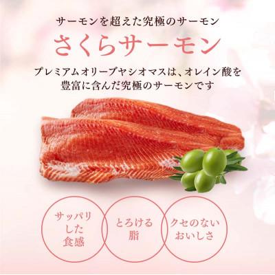 ふるさと納税 さくら市 【国産高級サーモン】【皮なしフィレ冷燻 約1kg】 |  | 01