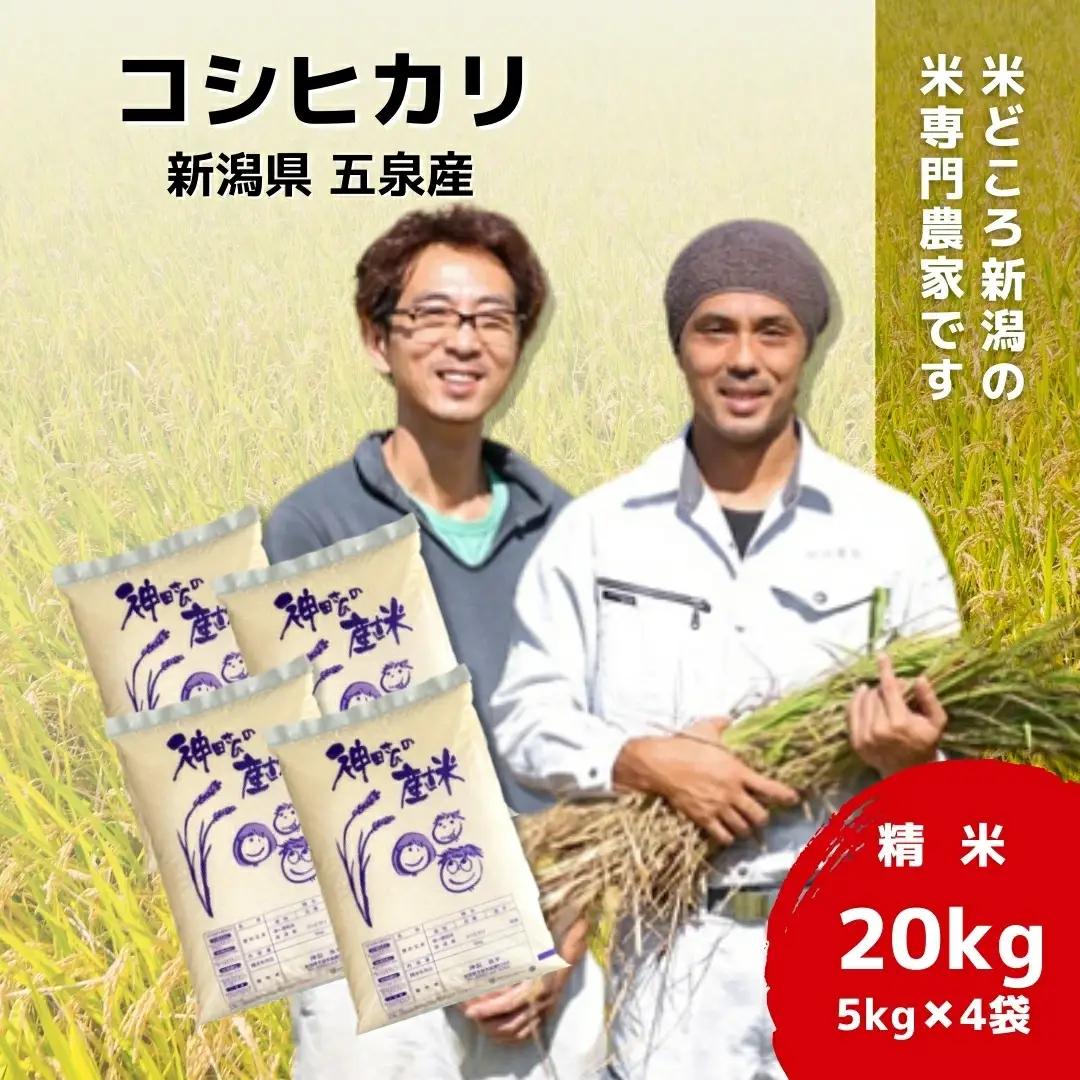 令和7年産 五泉産コシヒカリ 20kg（5kg×4袋）わくわく農場