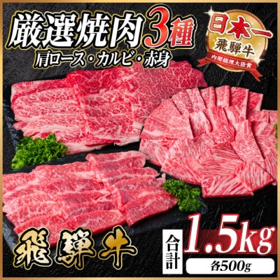 レビューキャンペーン実施中!飛騨牛　厳選焼肉3種(肩ロース・カルビ・赤身)1.5kg(各500g)【配送不可地域：離島】【1668600】