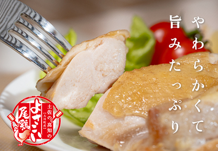 【定期便6回】よさこい尾鶏×力豚
