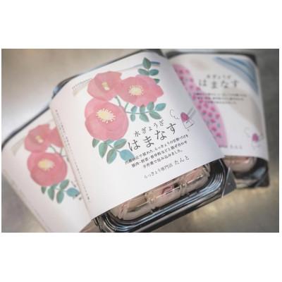 ふるさと納税 内灘町 水ぎょうざ　はまなす