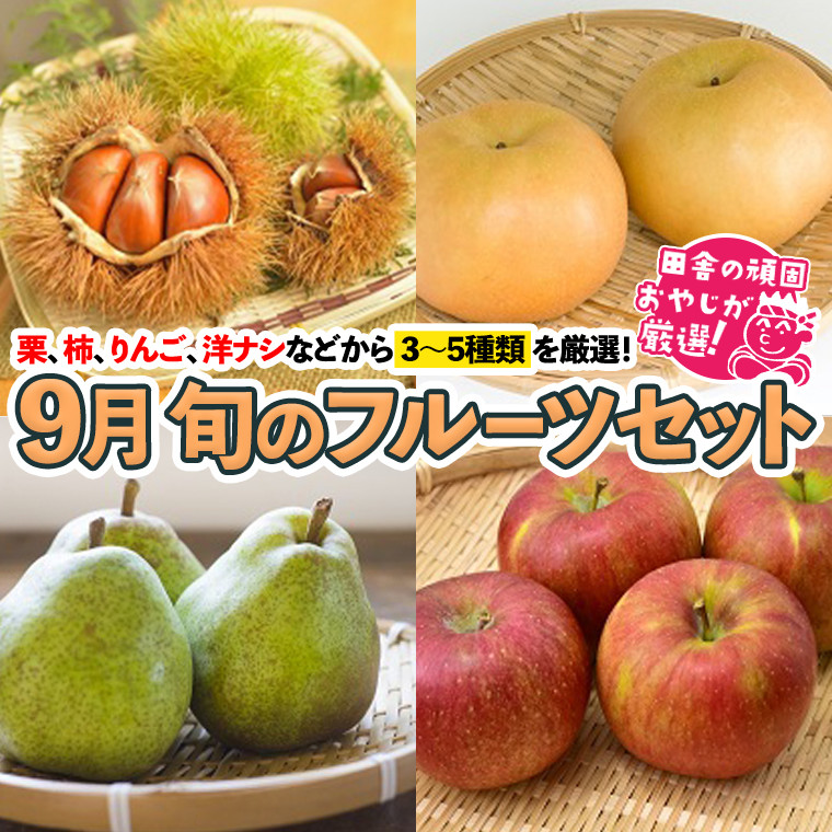 
旬のフルーツセット 9月号【令和6年9月より発送開始】 田舎の頑固おやじが厳選！
