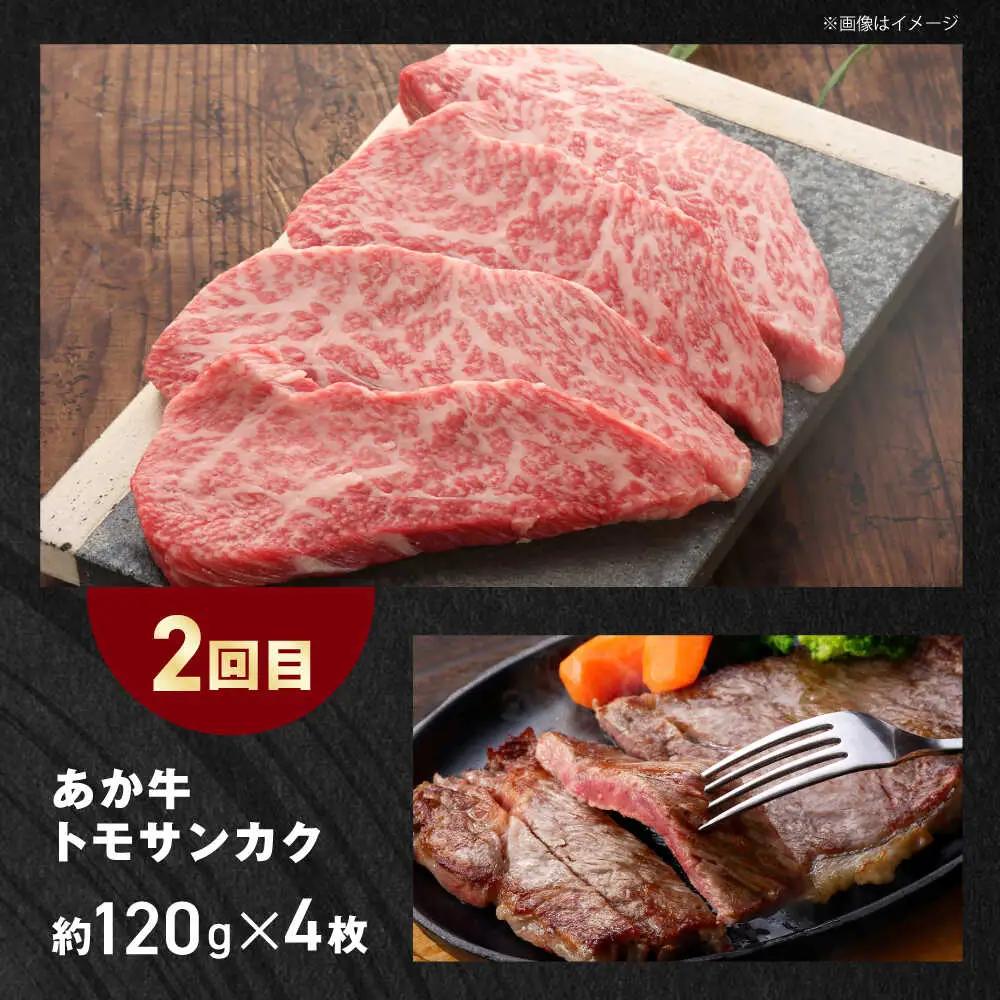 【全3回定期便】【GI認証】くまもとあか牛 食べ比べ F リブロース トモサンカク 赤身モモブロック赤牛[AYCQ031]