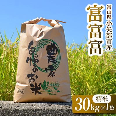 ふるさと納税 小矢部市 【新米先行受付(2026年10月上旬から順次発送)】令和8年富山県産「富富富」(精米)30kg×1袋