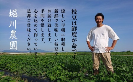  [枝豆 定期便 2kg×3回] 新潟県産 枝豆（陽恵） 朝採り 枝豆 2kgを3回お届け 枝豆 [堀川農園]【060S005】