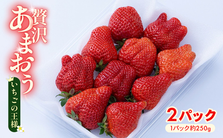 【2025年12月上旬から2026年1月末発送】あまおう 2パック いちご 苺 NGK019