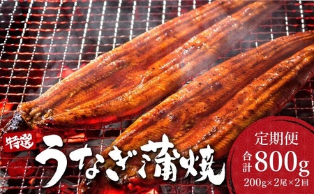 ＜2026年2月配送開始／定期便2回＞ うなぎ蒲焼き 計800g (200g×2尾×2回) ／うなぎ 鰻 ウナギ 蒲焼 蒲焼き 土用 丑の日 特選 肉厚 たれ 国産 ふるさと 鰻丼 鰻重 うな重 うなぎたれ ギフト 贈り物 佐賀 佐賀県 送料無料