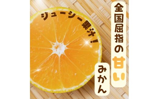 【訳あり】農家直送 有田みかん約5kg ご家庭用 サイズ混合 ※2025年11月中旬から2026年1月中旬までに順次発送予定（お届け日指定不可）※北海道・沖縄・離島への配送不可　訳ありみかん 温州みか