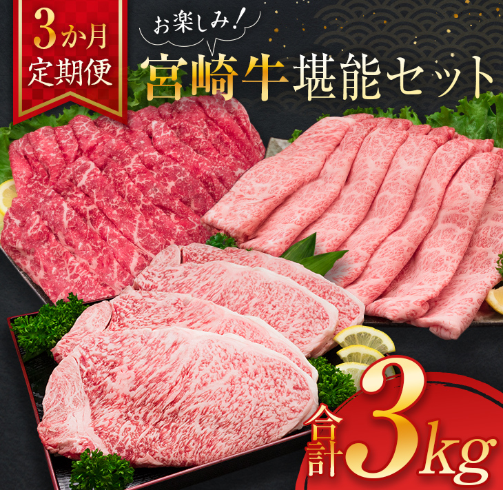 3か月 お楽しみ 定期便 宮崎牛 堪能 セット 合計3kg 牛肉 黒毛和牛 国産 ブランド牛 ミヤチク 肩ロース モモ ステーキ スライス すき焼き 焼肉 お祝 お取り寄せ グルメ 食品_L9-25