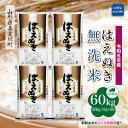 【ふるさと納税】 令和6年産 真室川町厳選 はえぬき ＜無洗米＞ 60kg 定期便（20kg×3回お届け）