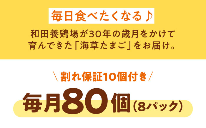 【全3回定期便】平飼い 海草たまご 8パック（80個入り）割れ保証あり 愛媛県大洲市/和田養鶏場 卵 たまご 鶏卵 卵料理 玉子 [AGDQ011]