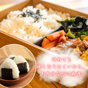 モチモチふっくら「ミルキークイーン」精米10kg ／ 米 こめ コメ お米 ご飯 ごはん ミルキークイーン 白米 精米 令和7年産 新米 10kg 利根町 送料無料