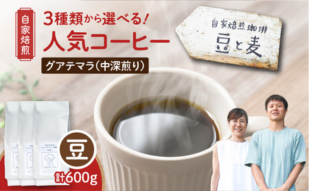 【自家焙煎】豆と麦 グアテマラ（豆） 計600g（200g×3袋） A017-019-01 コーヒー 珈琲 グアテマラ 豆 中深煎り 自家栽培珈琲 自家栽培 コク 甘味 豆と麦 自家焙煎珈琲豆と麦 ふるさと納税 鹿児島 奄美市 おすすめ ランキング プレゼント ギフト