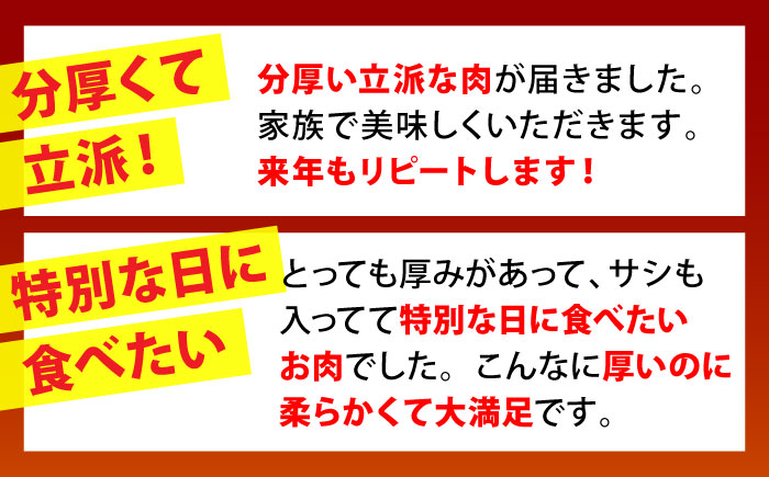 【全3回定期便】佐賀牛 シャトーブリアン 400g（200g×2枚）【山下牛舎】 [HAD069]