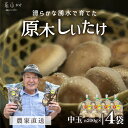 【ふるさと納税】 阿蘇・産山村産　原木生しいたけ中玉800g（200g×4袋） しいたけ 生しいたけ 原木生しいたけ 贈答 ギフト お中元 お歳暮 熊本 阿蘇 産山村 送料無料 無農薬