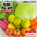 【ふるさと納税】【JA直売所セレクト】6ヵ月定期便！旬鮮野菜・果物セット（12～14品目） ふるさと納税 鹿児島市 贈り物 プレゼント ギフト お取り寄せ お土産 送料無料 やさい くだもの 新鮮 バランス 栄養 子供 こども 子ども 家庭 農家 安心 安全 旬 九州 定期便