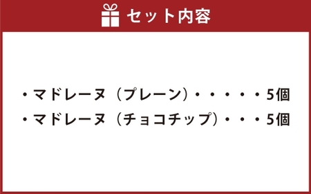 大きい！マドレーヌ（プレーン・チョコチップ） 10個 お菓子 菓子 デザート スイーツ マドレーヌ ビッグ BIG プレーン チョコチップ