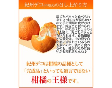 果肉プリプリ♪　完熟紀州デコ(不知火) 約3kg ※2024年2月下旬頃～3月下旬頃に順次発送予定