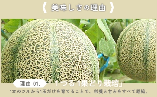 一度食べたら来年も!!とおっしゃる方が多いメロンです(^^♪