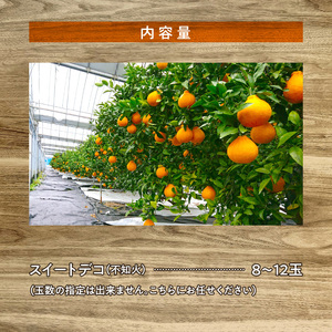 134-4　のぐち農園　スイートデコ（不知火）　8玉～12玉　２月より発送_V34-0004