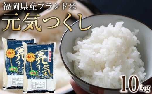 【先行予約】＜令和7年産＞福岡県産ブランド米「元気つくし」白米10kg 【米 ブランド米 ブランド 白米 元気つくし 令和7年産 家庭用  お取り寄せ お土産 福岡県産 取り寄せ グルメ 福岡県 筑前町 CE012】