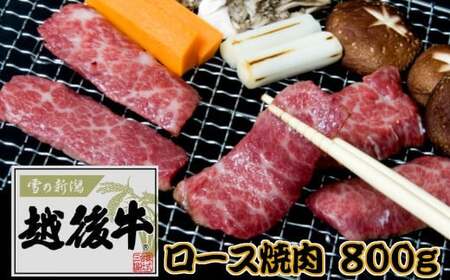 【雪の新潟 越後牛(えちごぎゅう)】ロース焼肉 計800g(200g×4パック) ※冷凍 ブランド牛 焼肉 三国 | 越後牛 小千谷産 国産牛 新潟県産 ロース 高級和牛 霜降り牛肉 ギフト 贈答 お取り寄せ 【0043-0006-01】