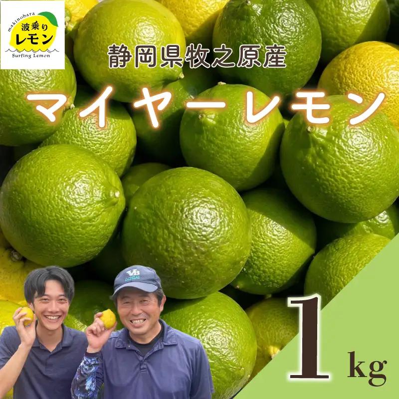 【期間限定】 檸檬 マイヤーレモン 1kg 檸檬