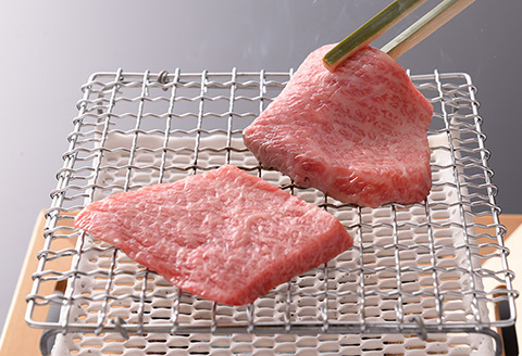 【最高級】飛騨牛A5ランク 霜降り焼肉 900ｇ  【39-11】