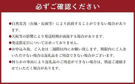 ＜宮崎県 完熟マンゴー3L×2玉 900g＞2026年4月上旬～7月上旬までに順次出荷【c1164_hi_x2】 マンゴー 完熟 果物 くだもの フルーツ 高鍋町