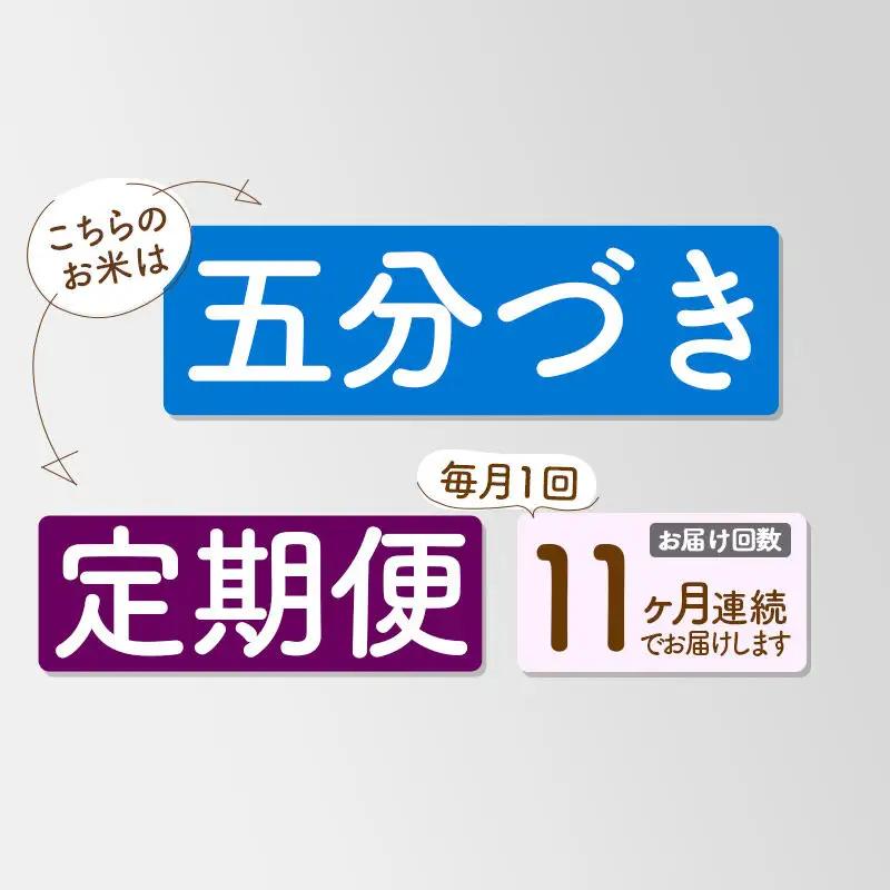 《定期便11ヶ月》【5分搗き】あきたこまち 20kg 秋田県産 令和7年産 こまちライン