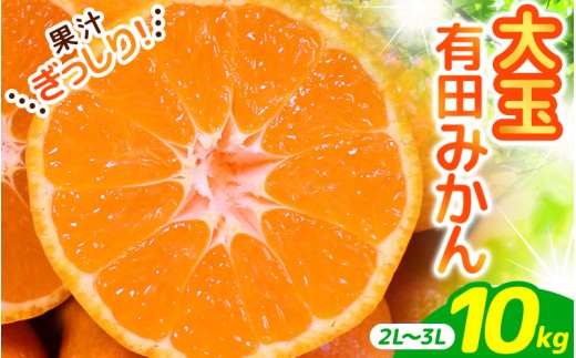 
                  ＼ みかんの名産地 和歌山県産／ 農家直送 大玉 有田みかん 10kg （2L～3L） ひとつひとつ手選別で厳選【2025年11月下旬～1月中旬ごろに順次発送予定】 | みかん フルーツ 果物 くだもの 有田みかん 蜜柑 柑橘【hdm001-2A】
                
