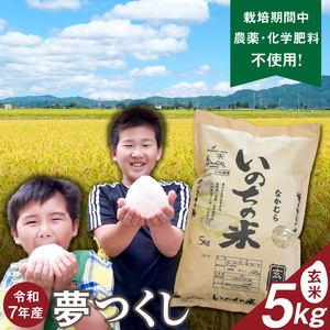 令和7年産夢つくし（玄米）5kg中村農園いのちの米_令和7年産 夢つくし 5kg 玄米 いのちの米 つややか 光沢 もちもち 食感 粘り 甘み ビタミン ミネラル 食物繊維 国産 米 新米 ブランド米 ご飯 おにぎり おむすび 弁当 主食 食品 食べ物 グルメ お取り寄せ お取り寄せグルメ 福岡県 久留米市 送料無料 〔Gr061〕