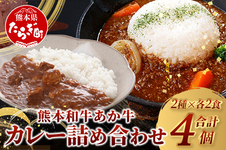 熊本産【あか牛】カレー 2種セット ≪あか牛カレー180g×2・あか牛100％挽肉カレー220g×2≫ ヘルシー あか牛 スパイシー カレー 牛肉 ひき肉 カレー 辛 国産 和牛