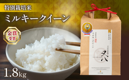 令和7年産 新米 ミルキークイーン 1.8kg 化粧箱入 ( ミルキークイーン ミルキークイーン ミルキークイーン ミルキークイーン ミルキークイーン )