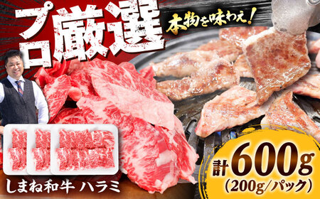 牛ハラミ 600g しまね和牛 ハラミ [AIEF007]