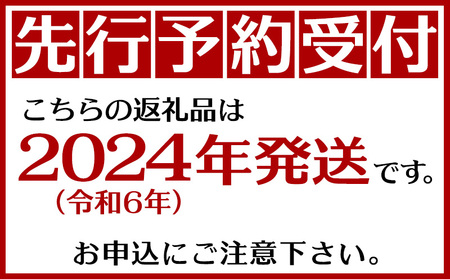 【2026年6月から順次発送・訳あり】JAおきなわ厳選 アップルマンゴー3.0kg(6～12玉)【配送不可地域：離島】【1724297】