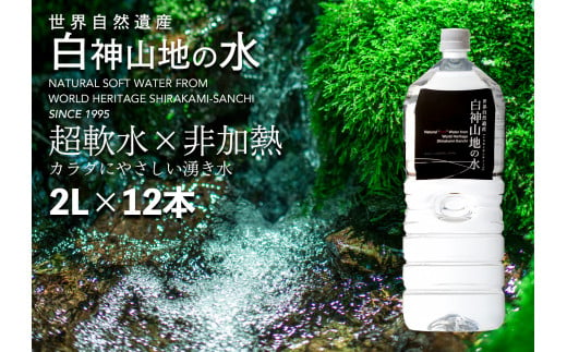 白神山地の水2L×12本