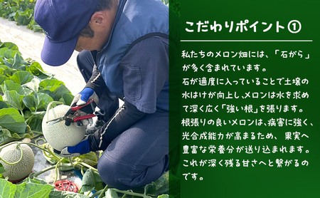 富良野メロン 赤肉 フルーツ 富良野メロン【2玉 約4kg以上】先行予約