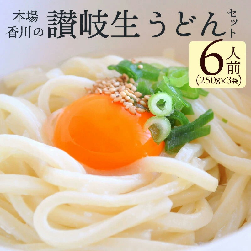 【ふるさと納税】讃岐うどん 香川 讃岐 生うどん セット 6人前 (小分け 3袋）大容量 [ うどん モチモチ感 コシ 人気 カレーうどん 釜玉 ざるうどん まとめ買い 麺類 お取り寄せ 送料無料 香川県 三豊市 返礼品 お取り寄せグルメ 食品 3000円 10000円以下 瀬戸内讃岐工房 ]