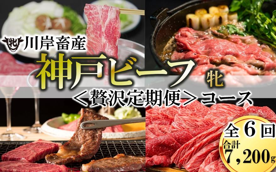 
            ≪年内発送12/23申込まで≫【神戸牛 牝 定期便】6回に分けてお届け 神戸ビーフ〈贅沢〉定期便コース（合計7,200g）500-2
          