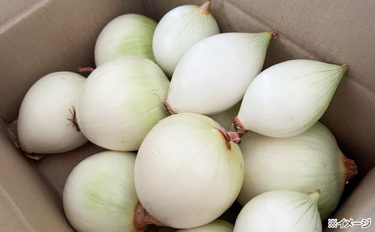 やさしやの玉ねぎ「島珠」(むき玉ねぎ) 2kg