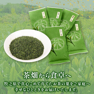 137-1 深蒸し茶 特選5本 静岡県 牧之原市 マルイ伊藤製茶 