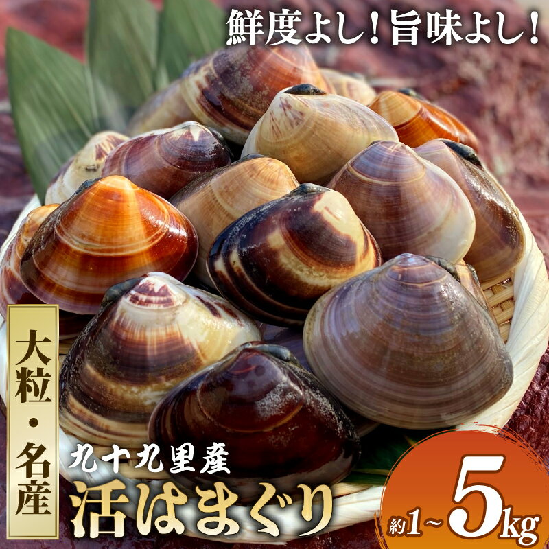 某TV番組で全国一位に！九十九里産　大粒活はまぐり　約1.5kg【配送不可地域：離島】